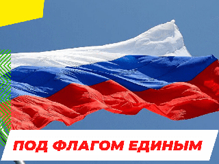 Программа праздничных мероприятий «Под флагом единым!»,  посвященных дню Государственного флага Российской Федерации.